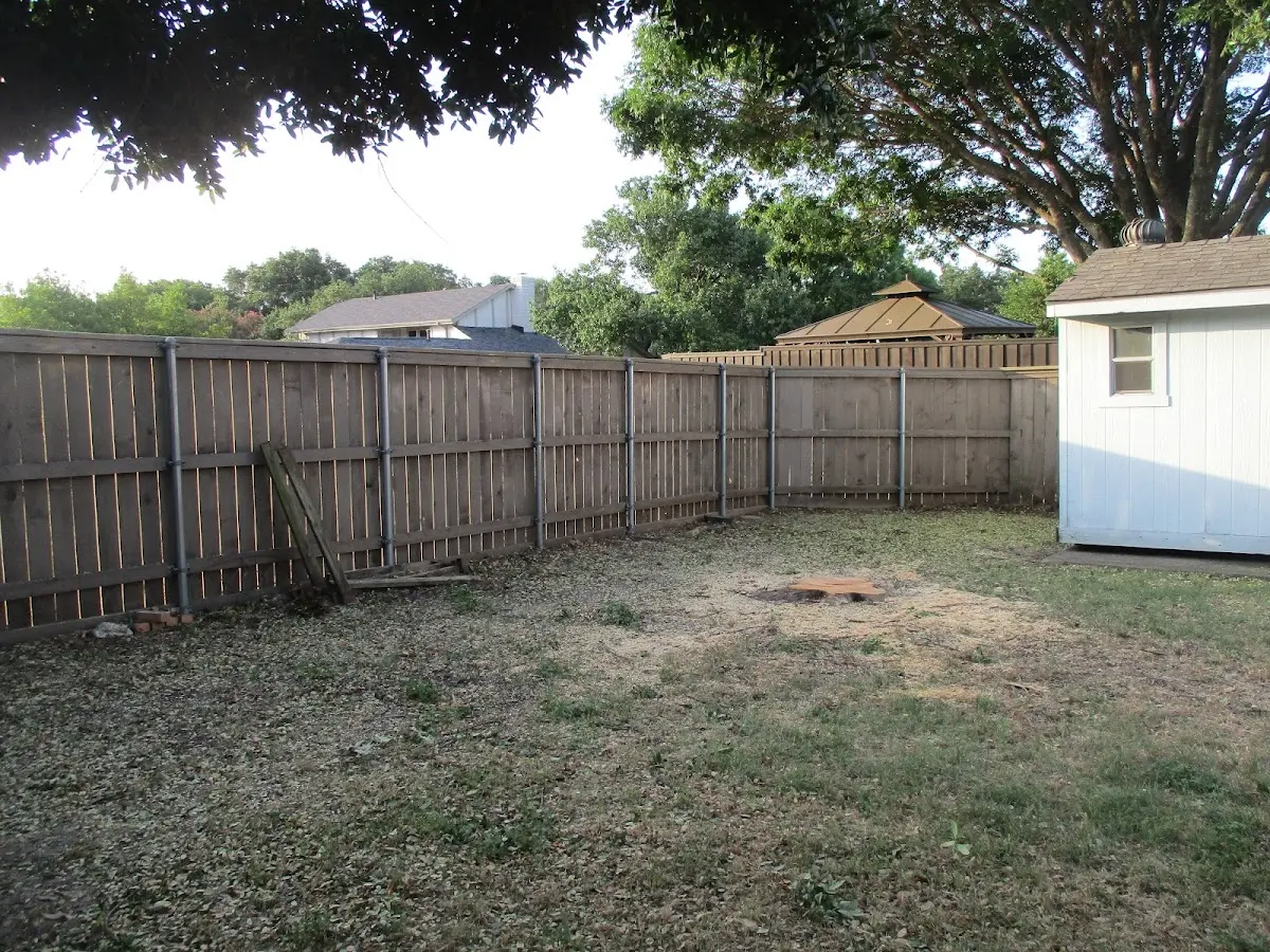 Cleared yard after professional tree removal in North Rose
