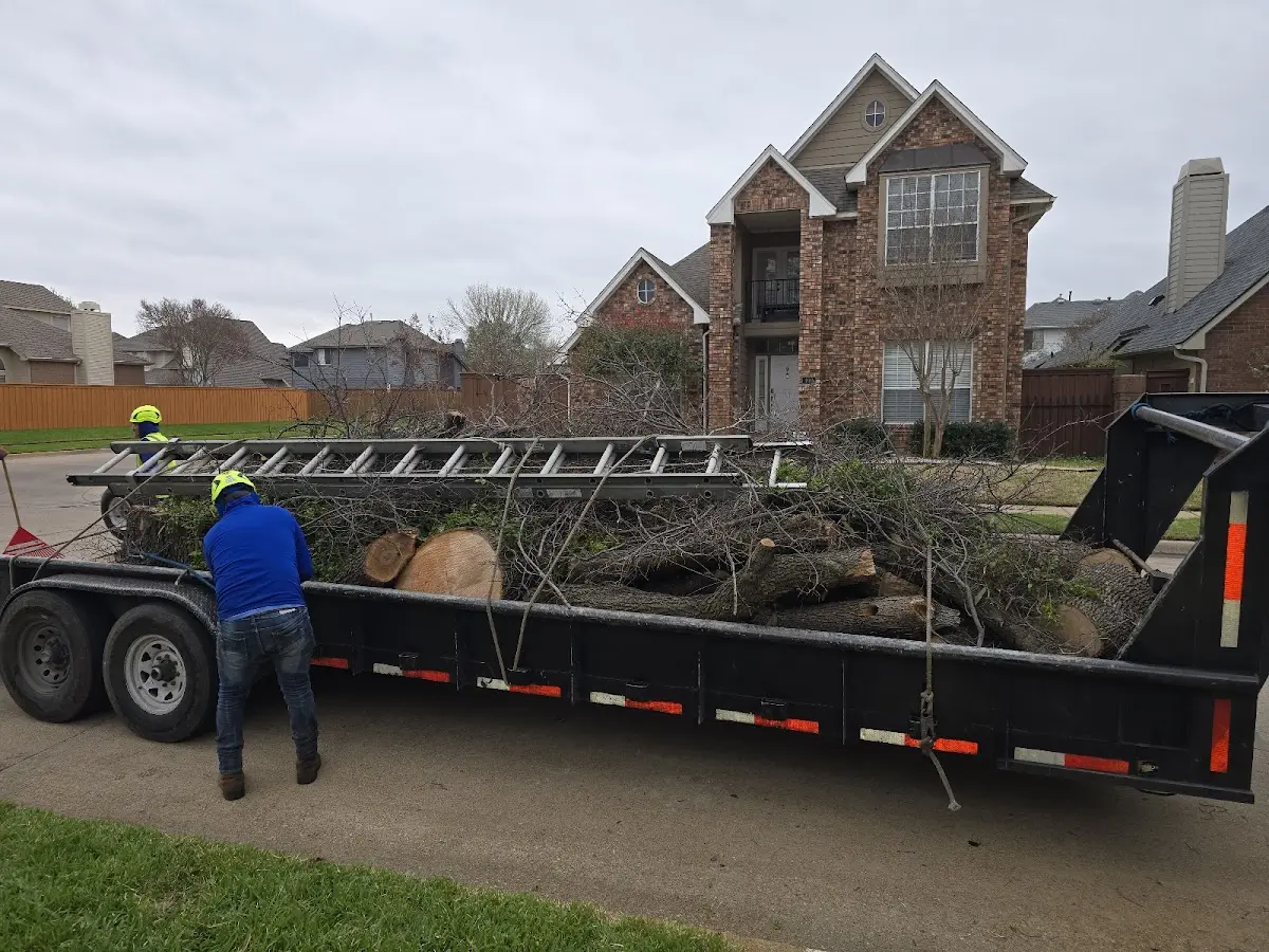 Expert Tree Fertilization with proper safety equipment in North Rose